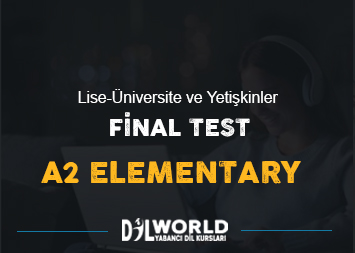 A2- Elementary Online Final Sınavı